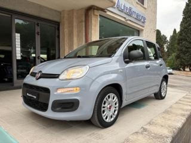 Fiat Panda 1.0 Firefly S&s Hybrid. 