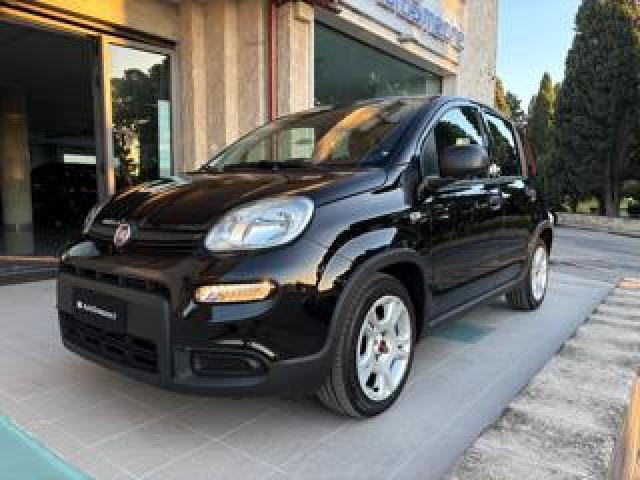 Fiat Panda 1.0 Firefly S&s Hybrid Cerchi In Lega. 