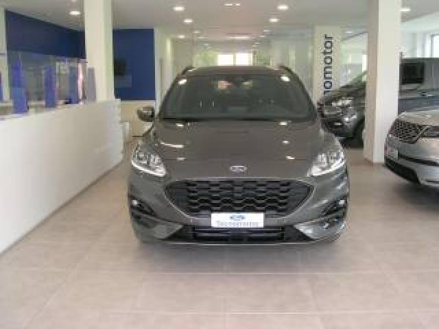 Ford Kuga St-Line 2.0 Ecoblue 120cv Autom. 8m 