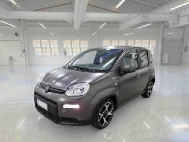 Fiat Panda 1.0 Firefly S&s Hybrid Sport 