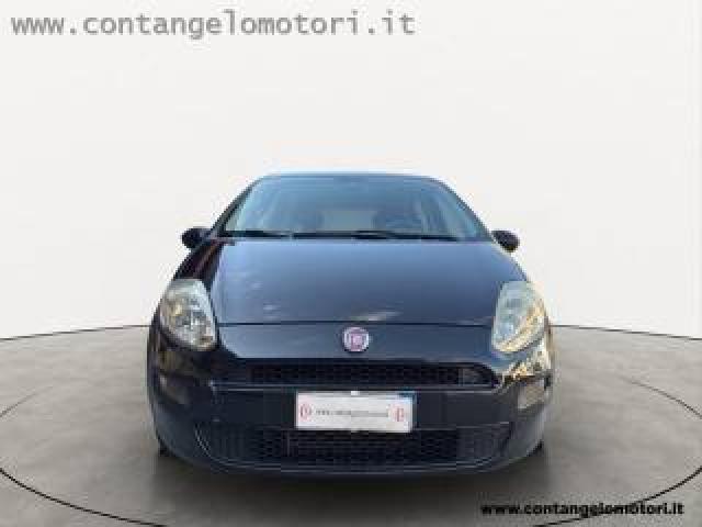 Fiat Punto 1.3 Mjt Ii 75 Cv 5 Porte Street 