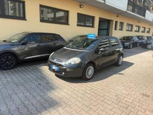 Fiat Punto Evo 1.2 5 Porte Active 