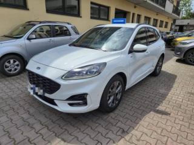 Ford Kuga 1.5 Ecoblue 120 Cv Aut. 2wd St-Line X 