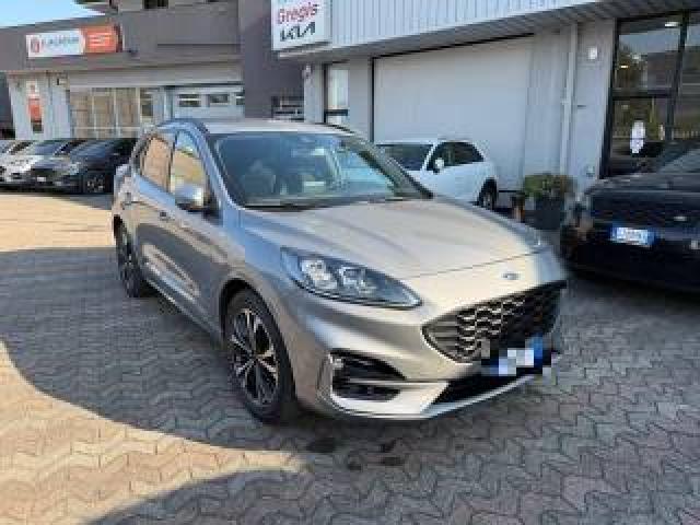 Ford Kuga 1.5 Ecoblue 120 Cv Aut. 2wd St-Line X 