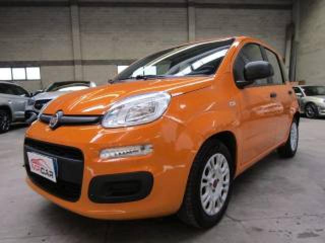 Fiat Panda Panda 1.0 Firefly Hybrid City Life *64.000 Km* 