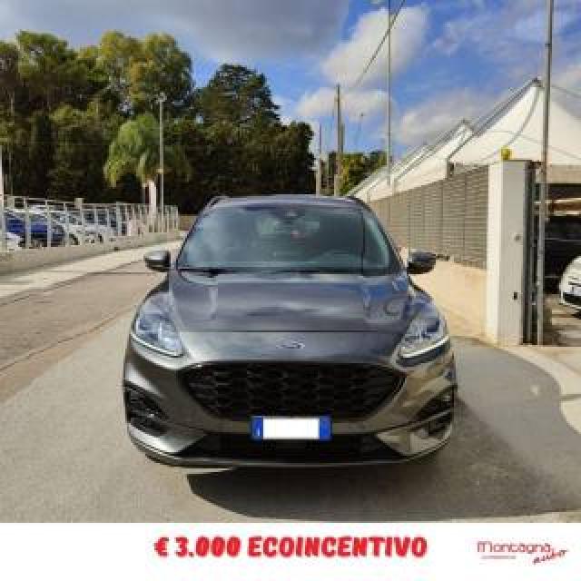Ford Kuga 1.5 Ecoblue 120 Cv 2wd St-Line 