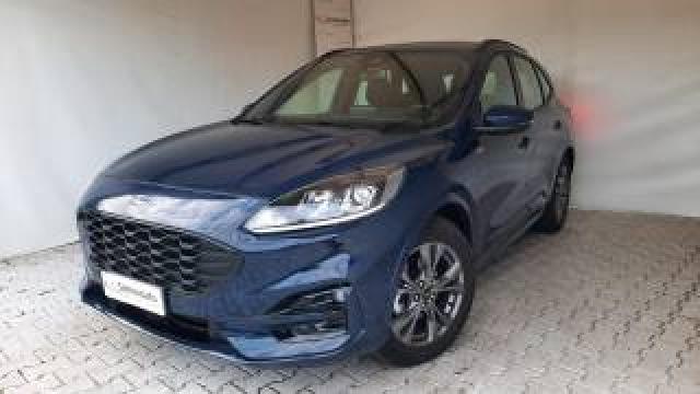 Ford Kuga 2.0 Ecoblue 120 Cv Aut. 2wd St-Line 