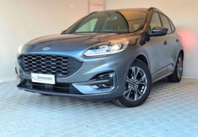 Ford Kuga 1.5 Ecoblue 120 Cv 2wd St-Line 