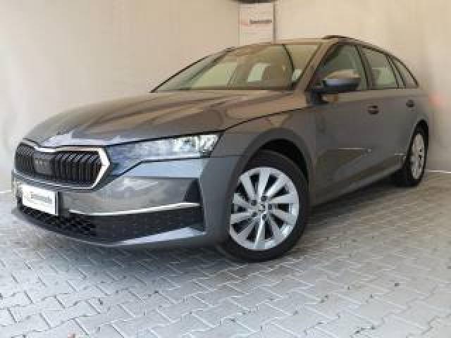 Skoda Octavia 2.0 Tdi 150 Cv Dsg Wagon Selection 