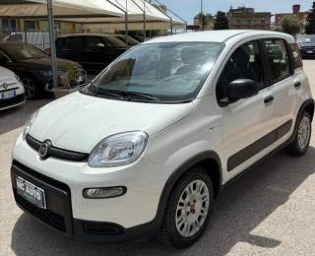 Fiat Panda 1.0  S&s Hybrid Street Van 4 Posti 
