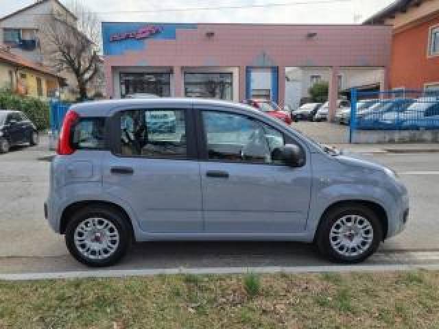 Fiat Panda 1.0 Firefly S&s Hybrid Prezzo Reale 