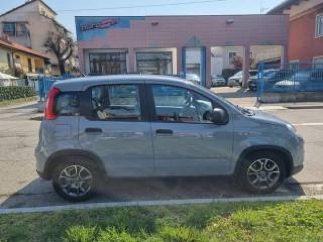 Fiat Panda 1.0 Firefly S&s Hybrid Prezzo Reale 