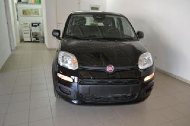 Fiat Pandina 1.0 Firefly 65 Cv Hybrid Icon 