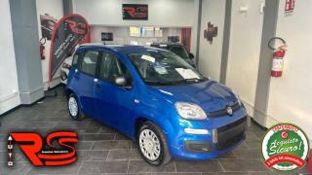Fiat Panda 1.0 Firefly S&s Hybrid Pandina Adatta Neopatentati 