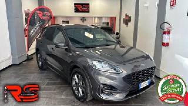 Ford Kuga 1.5 Ecoblue 120 Cv 2wd St-Line X Automatica 