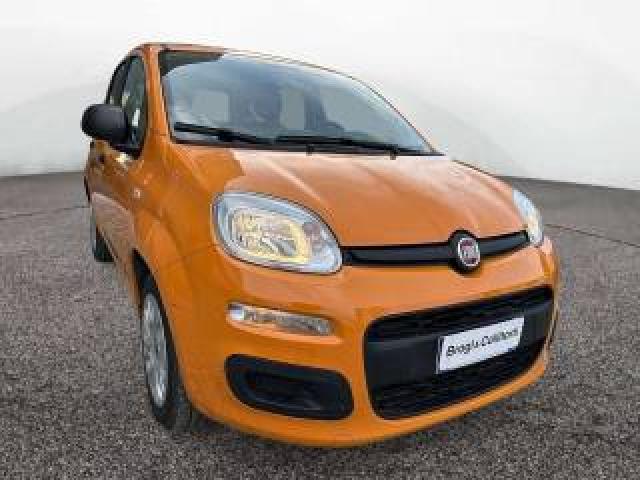 Fiat Panda 1.0 Firefly Hybrid City Life S&s 70cv 