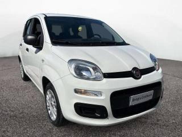 Fiat Panda 1.2 69cv Easy 