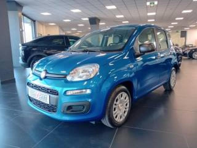Fiat Panda 1.0 Firefly S&s Hybrid Pandina 