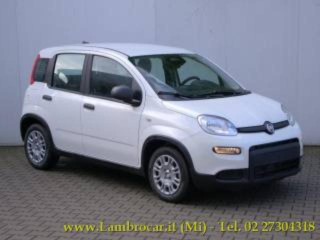 Fiat Panda 1.0 Hybrid 70cv Km Zero 