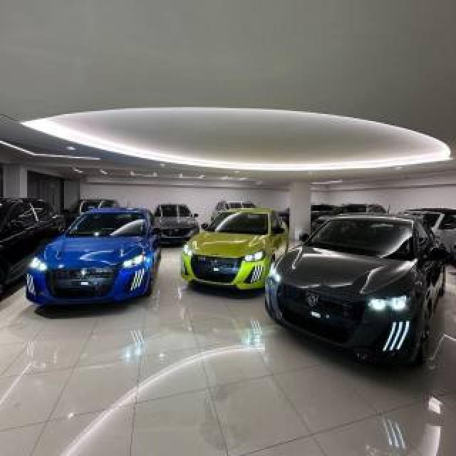 Peugeot 208 Hybrid 110 E-Dcs6 Style Vari Colori 