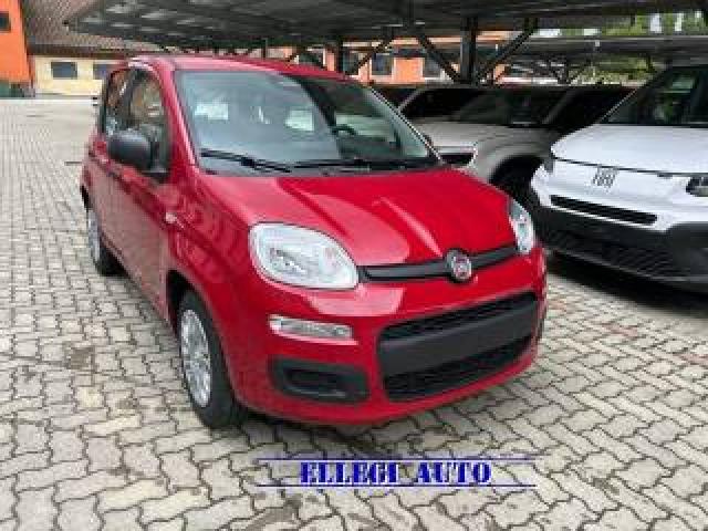 Fiat Panda Promo Finanz.pandina 1.0  Hybrid  Km  0 