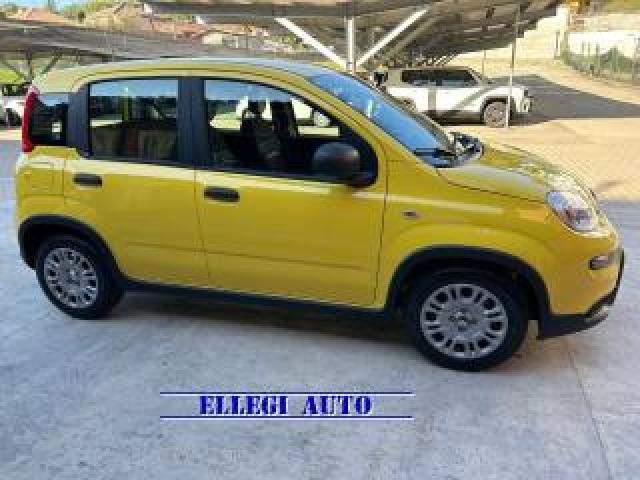 Fiat Panda Promo Finanz.pandina 1.0  Hybrid  Km  0 