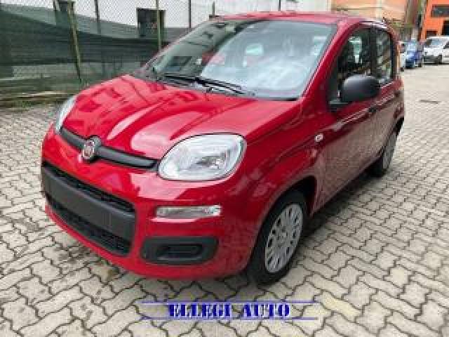 Fiat Panda Promo Finanz.pandina 1.0  Hybrid  Km  0 