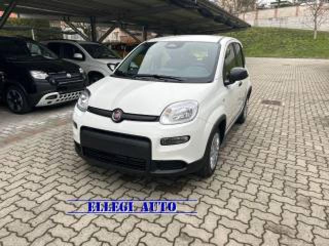 Fiat Panda Promo Fin.1.0 Hybrid +pack City Km 0 