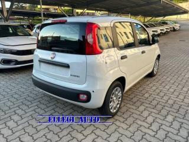 Fiat Panda 1.0 Hybrid +pack City Km 0 