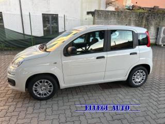 Fiat Panda Promo Fin.1.0 Hybrid +pack City Km 0 