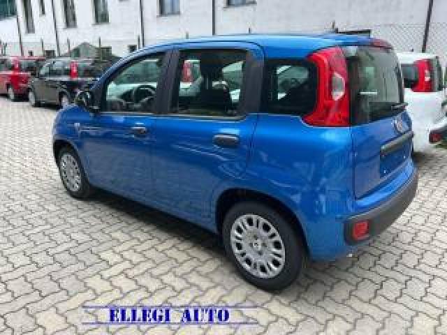 Fiat Panda Promo Finanz 1.0 Hybrid 5 Posti +pack City Km 0 