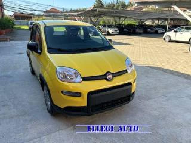 Fiat Panda 1.0  Hybrid Adas No Finanziamento Km Zero 