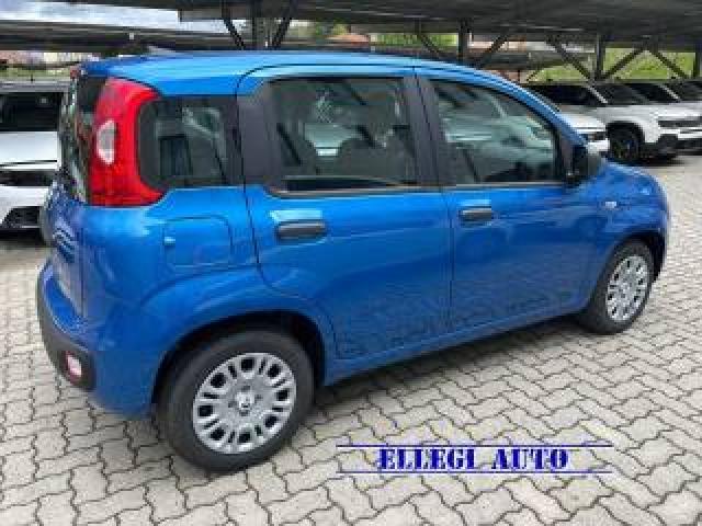 Fiat Panda Promo Finanz 1.0 Hybrid 5 Posti +pack City Km 0 