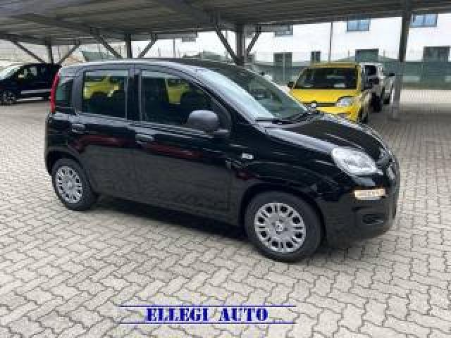 Fiat Panda Promo Finanz 1.0 Hybrid 5 Posti +pack Icon Km 0 