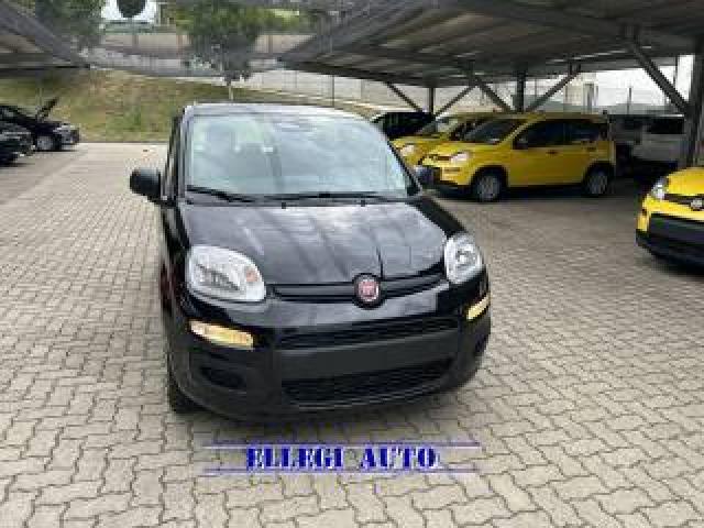 Fiat Panda Promo Finanz 1.0 Hybrid 5 Posti +pack Icon Km 0 