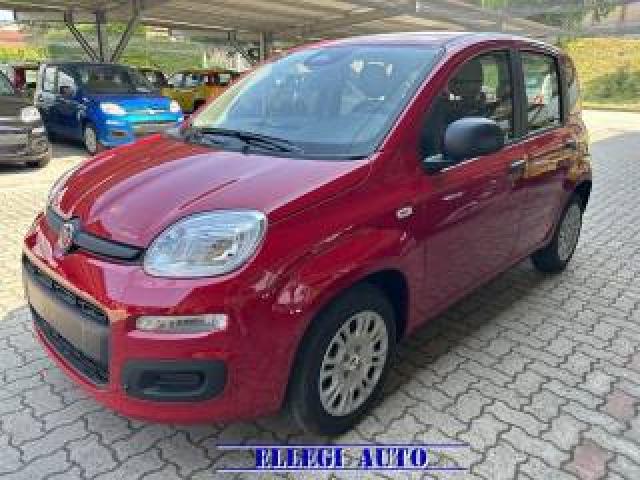 Fiat Panda 1.0 Hybrid 5 Posti +pack Icon Km 0 