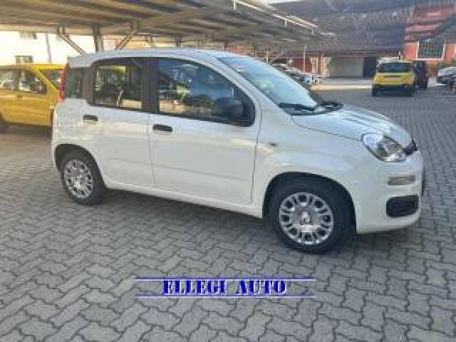 Fiat Panda Promo Finanz 1.0 Hybrid 5 Posti +pack Icon Km 0 