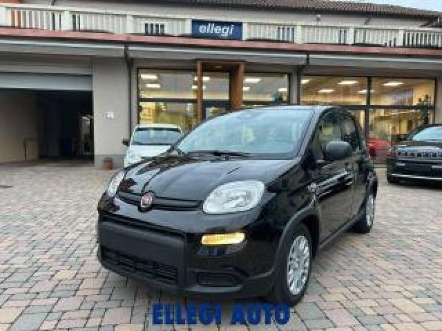 Fiat Panda Promo Finanz.pandina 1.0  Hybrid  Km  0 