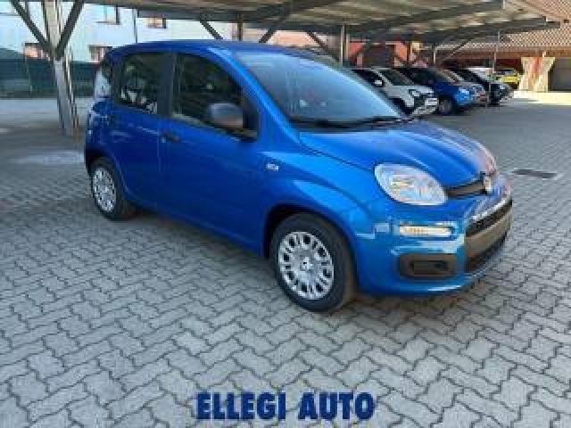 Fiat Panda 1.0 Hybrid +pack Icon Km 0 