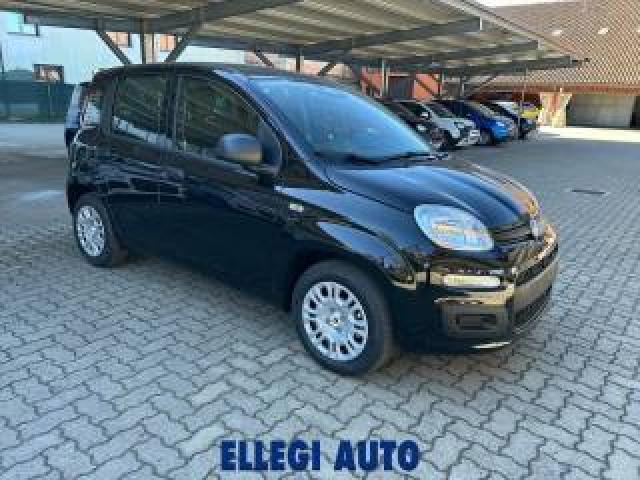 Fiat Panda 1.0 Hybrid +pack Icon Km 0 