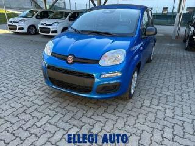 Fiat Panda Promo Finanz 1.0 Hybrid +pack Icon Km 0 