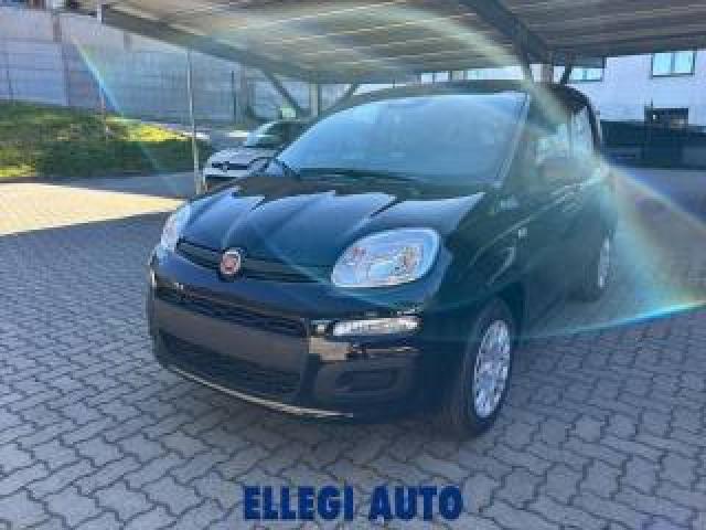 Fiat Panda 1.0 Hybrid +pack Icon Km 0 