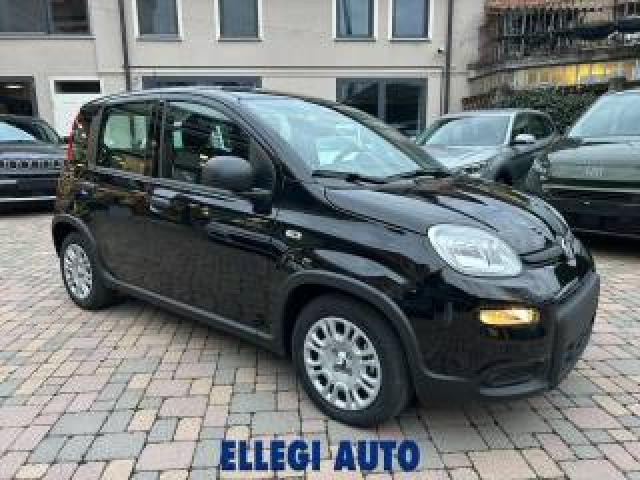 Fiat Panda Promo Finanz.pandina 1.0  Hybrid  Km  0 