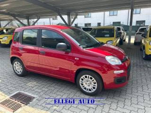 Fiat Panda Promo Finanziam 1.0 Hybrid 5 Posti +pack Icon Km 0 