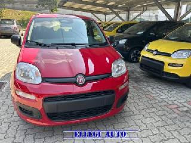 Fiat Panda 1.0 Hybrid 5 Posti +pack Icon Km 0 