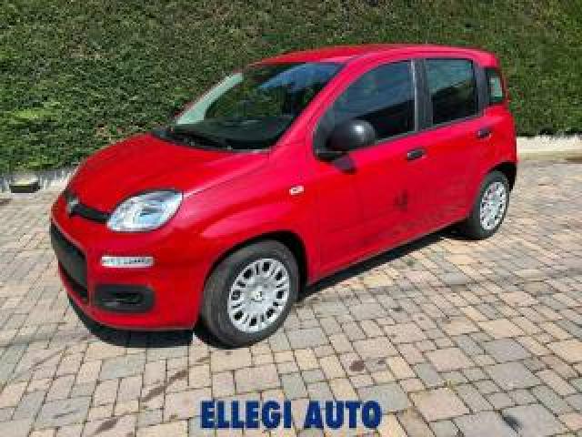 Fiat Panda 1.0 Hybrid Icon 5 Posti Km 0 