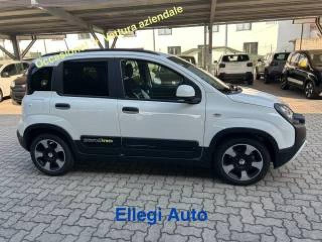 Fiat Pandina Promo Fin 1.0 65 Cv Hybrid Cross Aziendale 4273 Km 