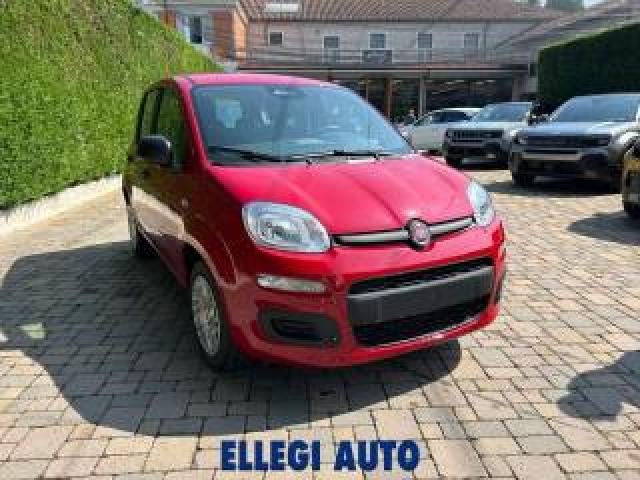 Fiat Panda Promo Finanziamento 1.0 Hybrid Icon Km 0 