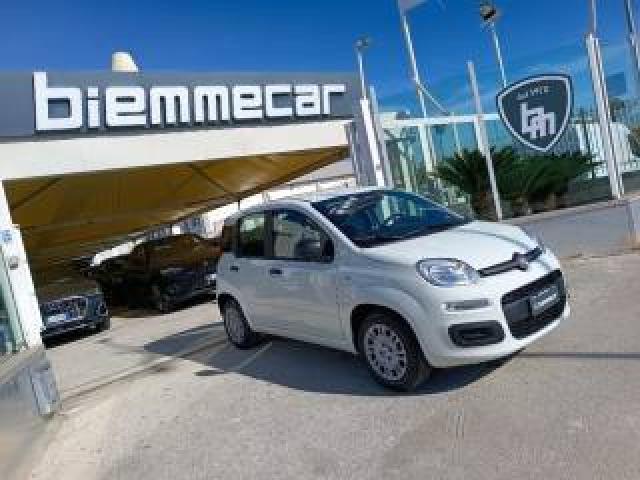Fiat Panda 1.0 Firefly S&s Hybrid Pop    Km 0  I.m  