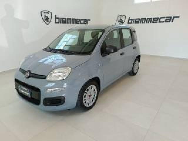 Fiat Panda 1.0 Firefly S&s Hybrid  I.e  